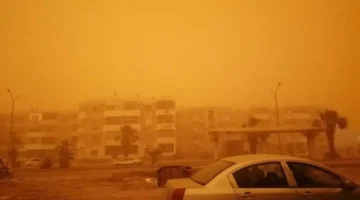 عاصفة ورياح شديدة في مصر.. توقعات الطقس للساعات القادمة 2025